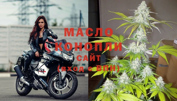стаф Сосновка