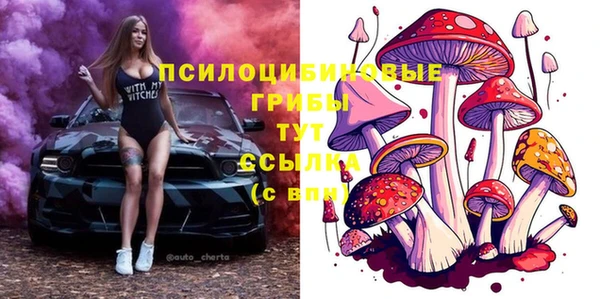 mix Белокуриха