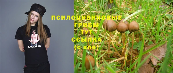 mix Белокуриха
