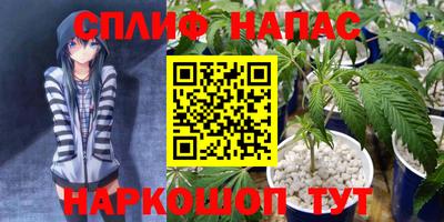прущие грибы Апрелевка