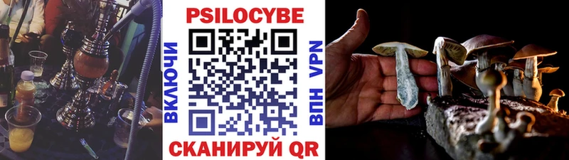 Галлюциногенные грибы мицелий  кракен вход  Верхняя Пышма 