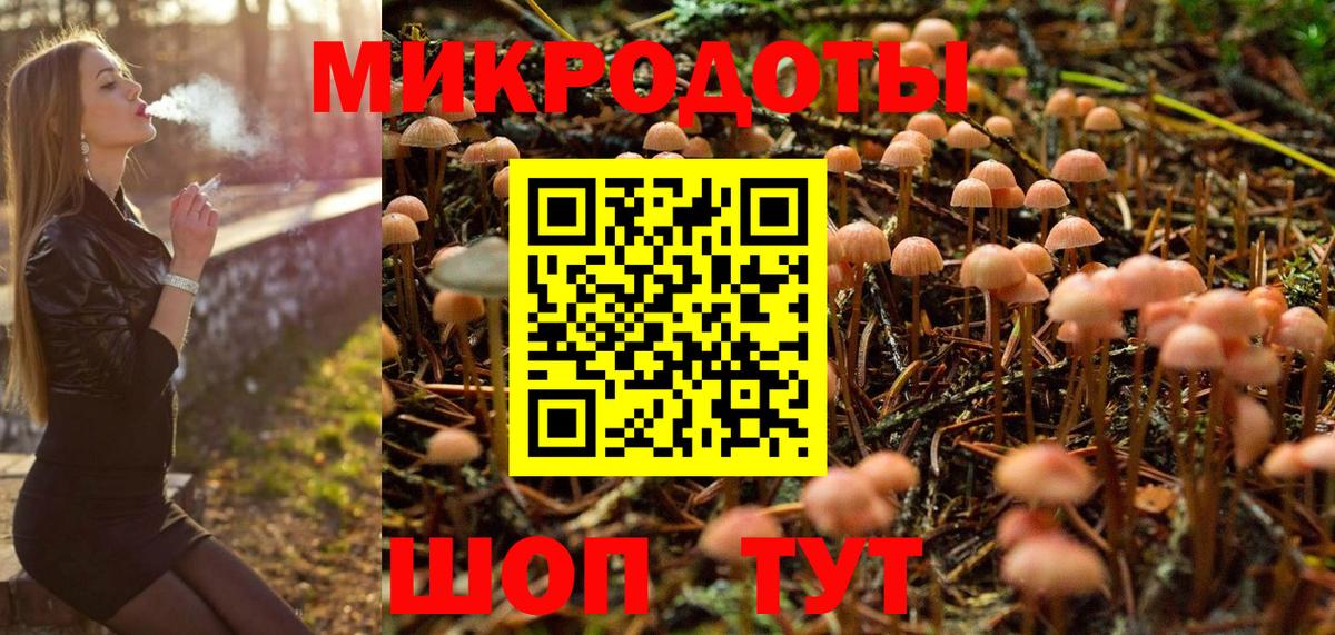 Псилоцибиновые грибы GOLDEN TEACHER Верхняя Пышма