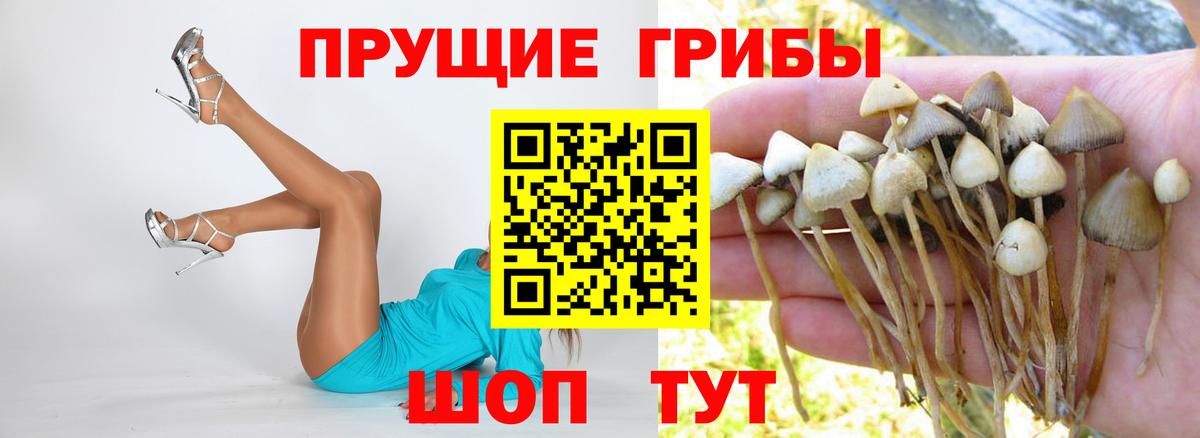 Псилоцибиновые грибы MAGIC MUSHROOMS  Вход с VPN  Верхняя Пышма 